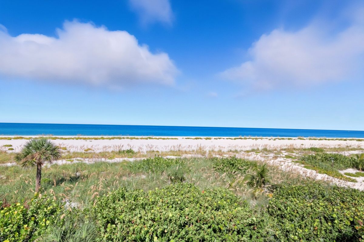 Boca Grande Real Estate-Turtleback 08-image-1